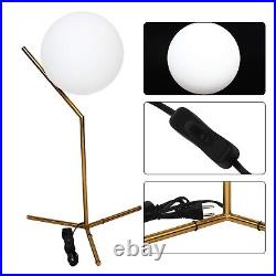 Flhonudi 12W Glass Table Lamp 1 Light Bedside Table Lamp Metal Standing Readi