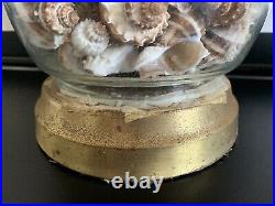 Sea Shell Filled Glass Table Lamps Pair 24 Vintage Coastal Home Decor Tested